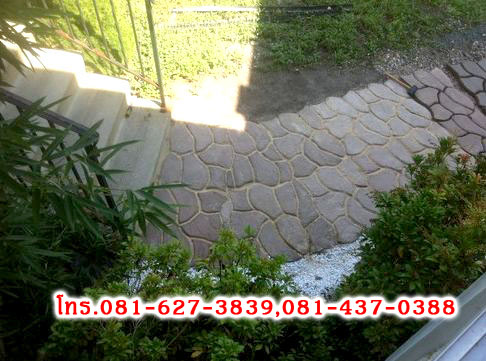 DIY แม่พิมพ์ลายพื้นทางเดิน ลายหินกาบ ขนาดใหญ่ 50x50x4 D2