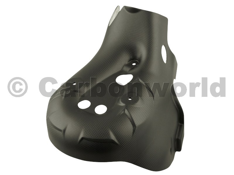 Carbon world-การ์ดท่อคาร์บอน (Heat Guards) สำหรับ Panigale 899 959 1199 1299