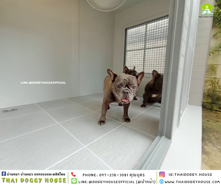 บ้านหมา ติดพัดลม แบบบ้าน 𝐁𝐎𝐗 𝐒𝐓𝐘𝐋𝐄
