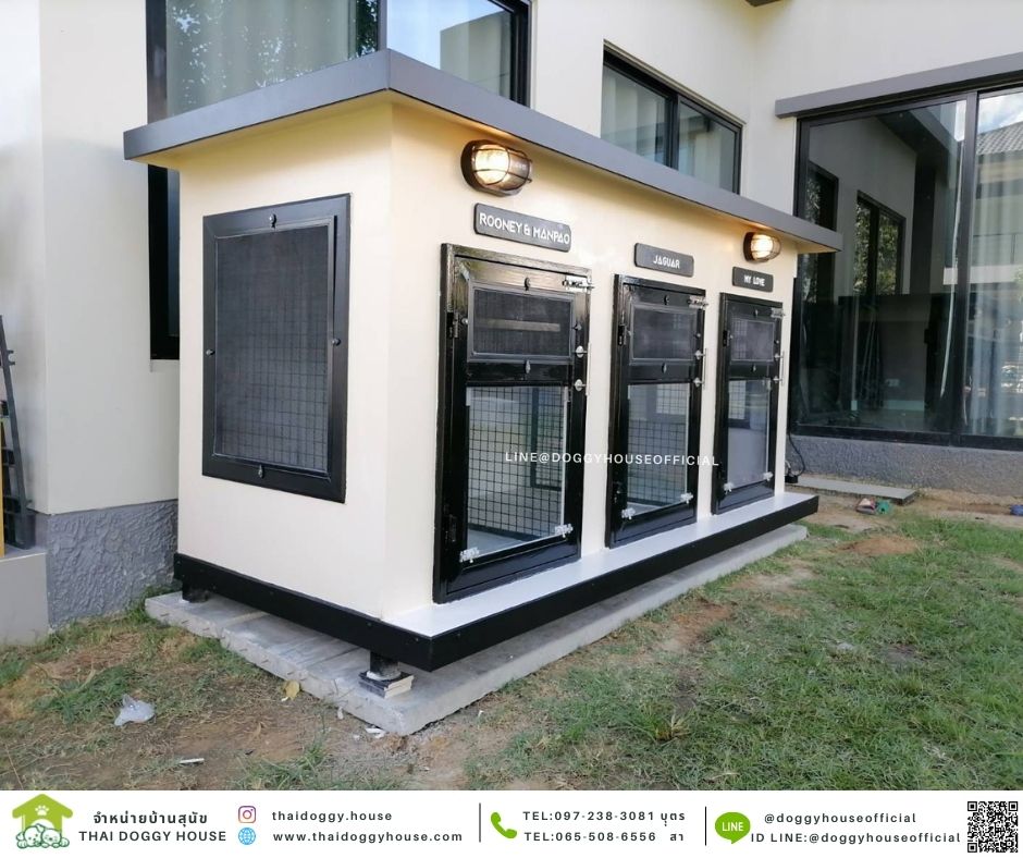 บ้านหมา