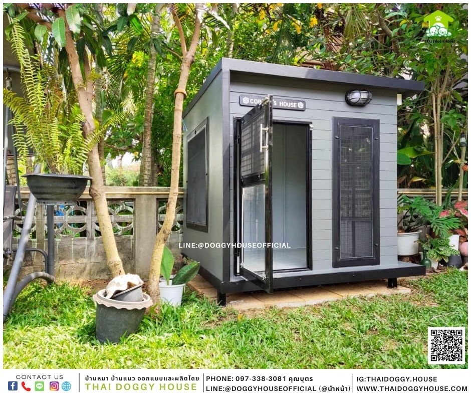 บ้านหมา Box style