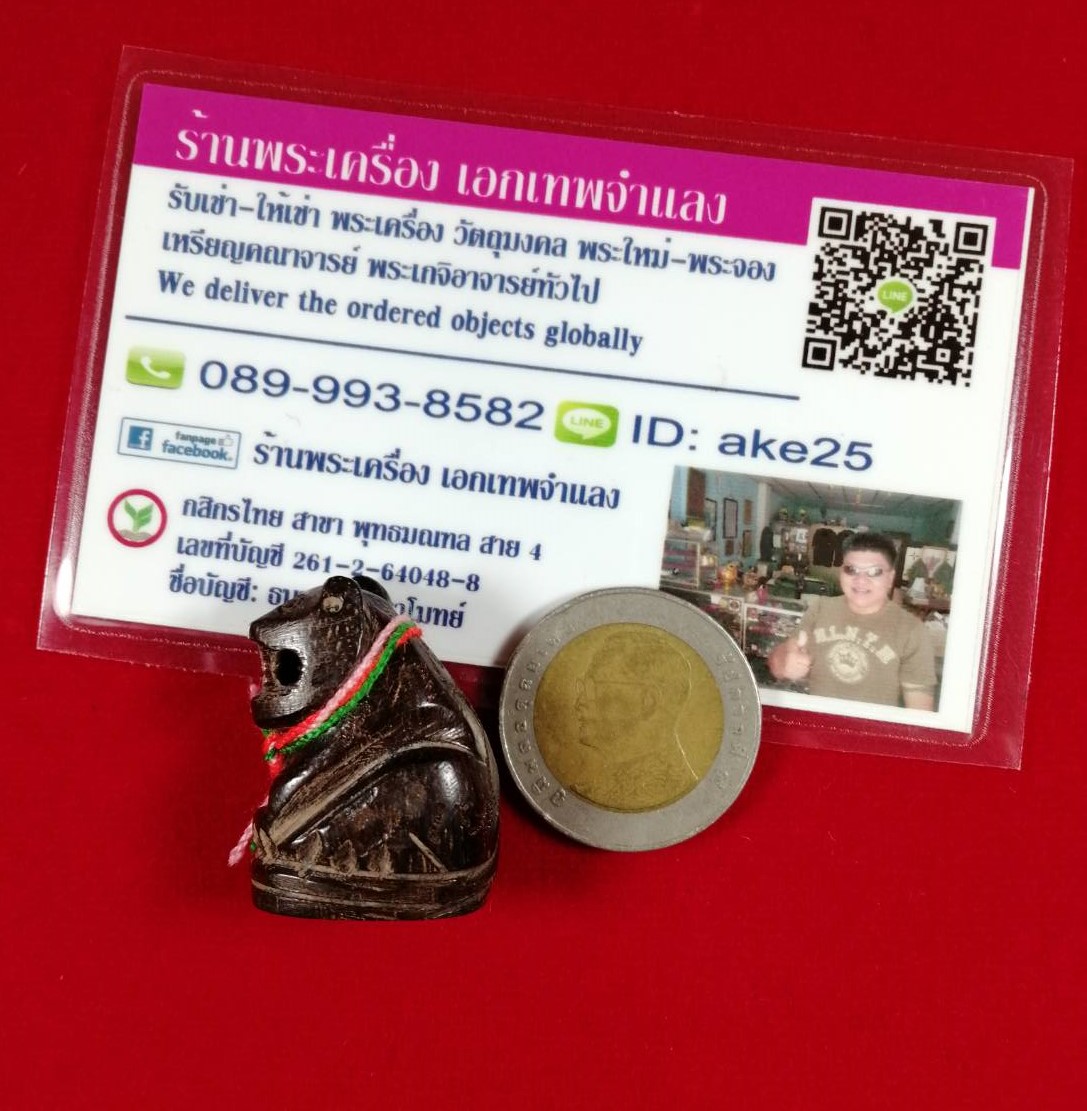 พยัคฆ์กันภัย(9) รุ่นไตรมาส 59 พระอาจารย์สุรเจตน์ วัดหนองหิน กาญจนบุรี เนื้อไม้พยุง ตะกรุดเงิน ปี 2559
