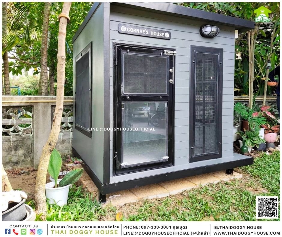 บ้านหมา Box style