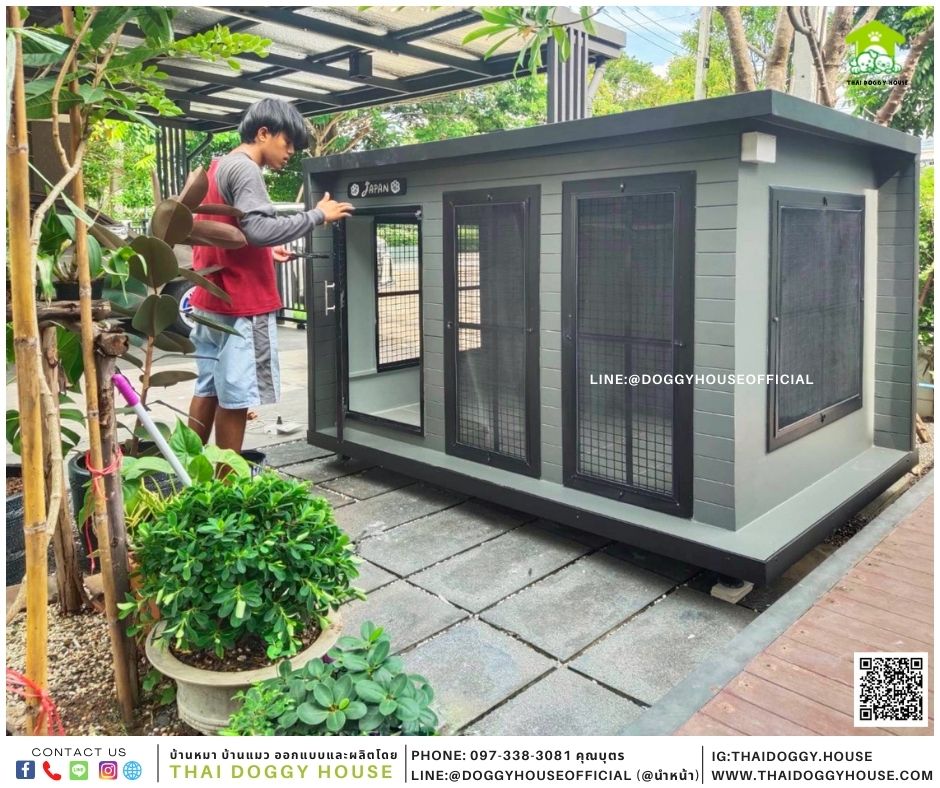 บ้านหมา Box style