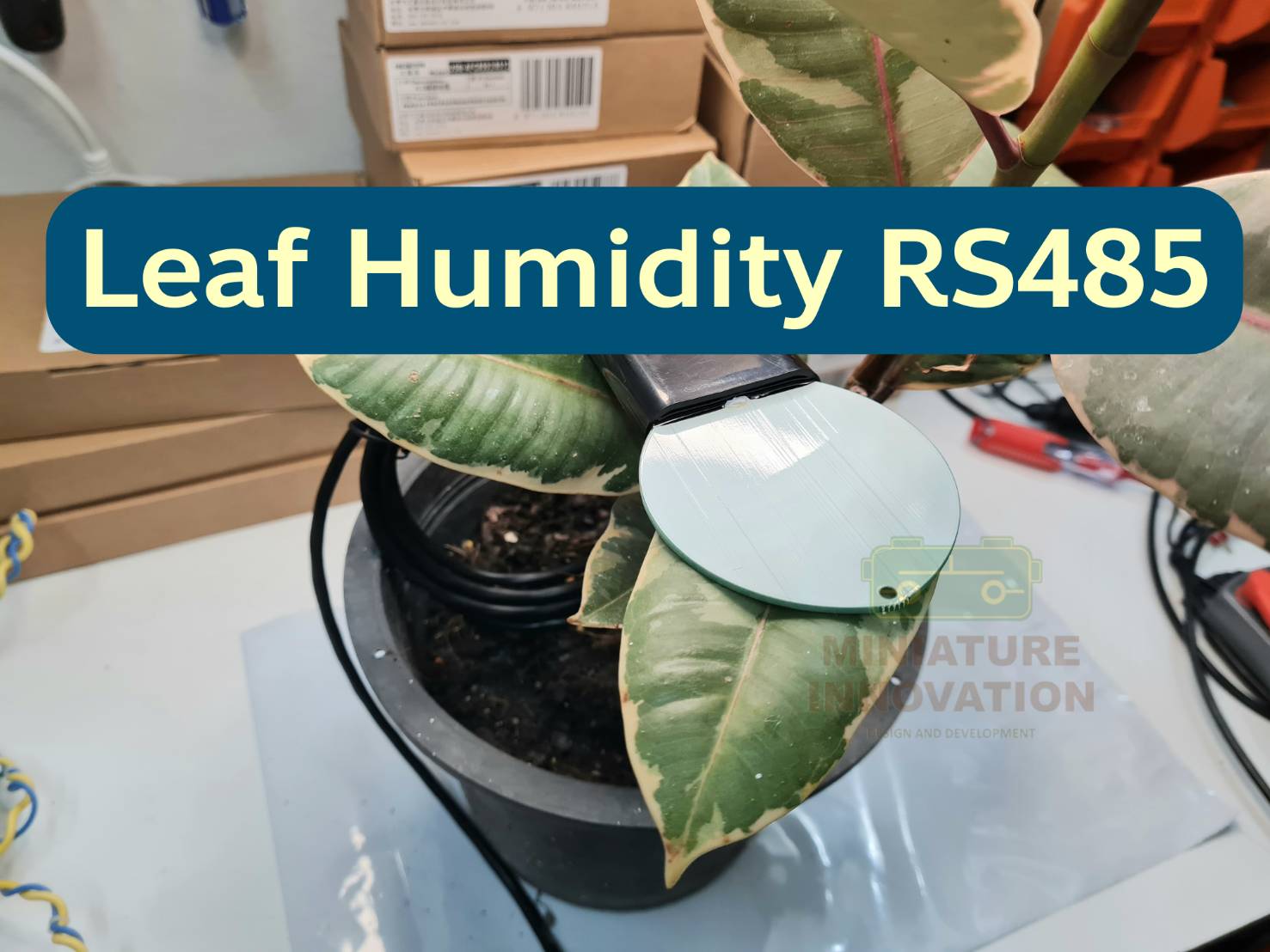 เซนเซอร์วัดอุณหภูมิและความชื้นทางใบ RS485 Leaf humidity and temperature sensor RS485
