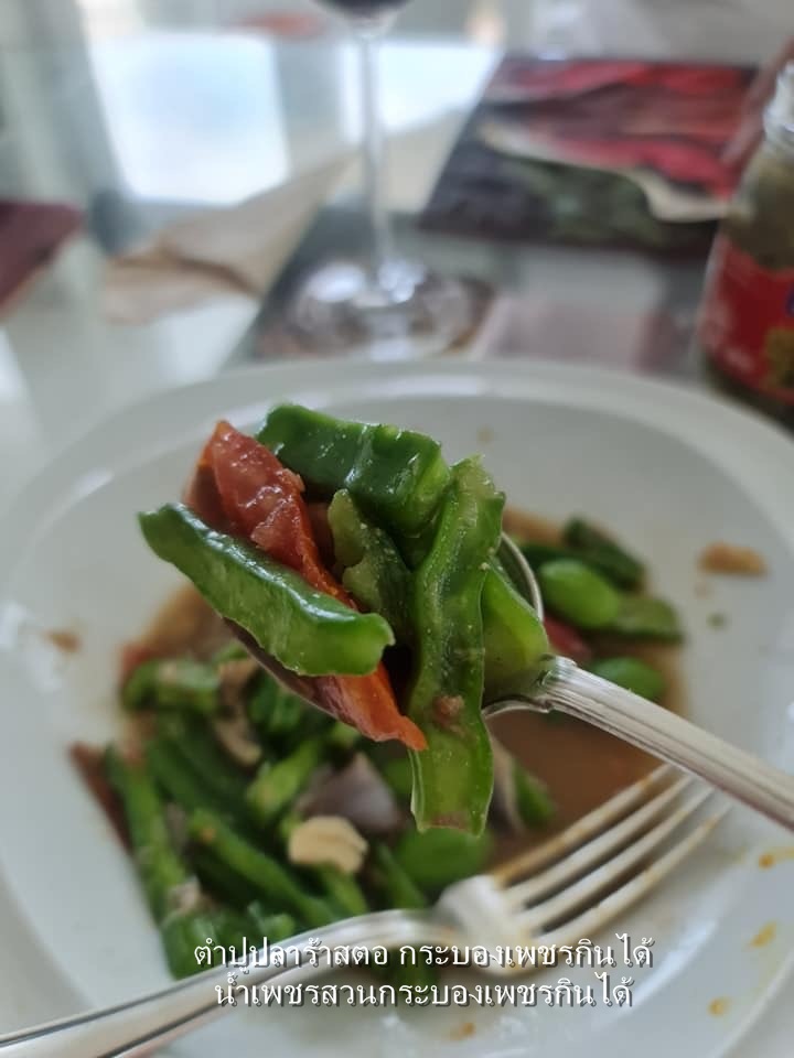 พันธุ์ "มะรุ่ง" No.1A รหัส" ID-PA-A1-5 กระบองเพชรกินได้ สายพันธุ์โอพันเทียฟิคัสอินดิก้า Opuntia Ficus Indica 5 ขนาด ตัดสดให้เลือก