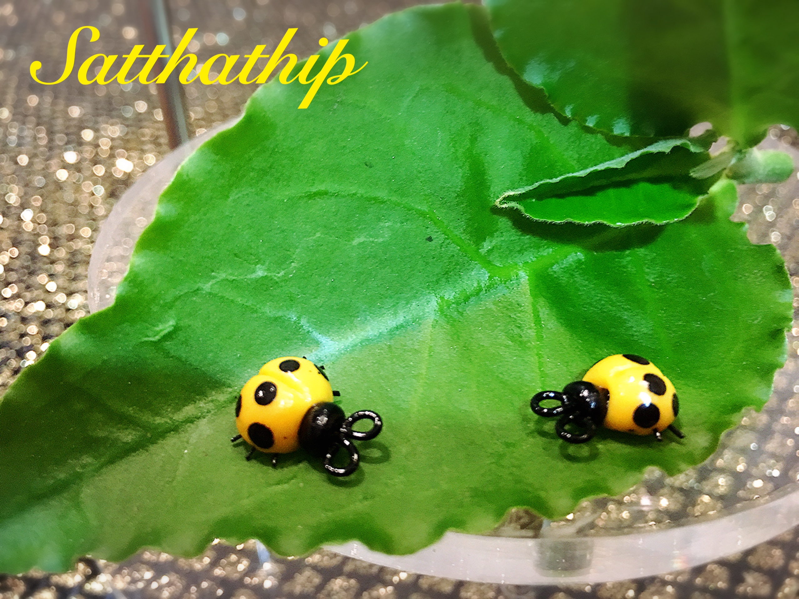 เต่าทอง - โมเดลเต่าทอง - เต่าทองดินปั้น - โมเดลสัตว์ - โมเดลสัตว์เลี้ยง - ตุ๊กตาสัตว์ดินปั้น - Animal model