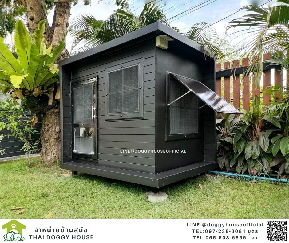 บ้านหมา รุ่นยอดฮิต