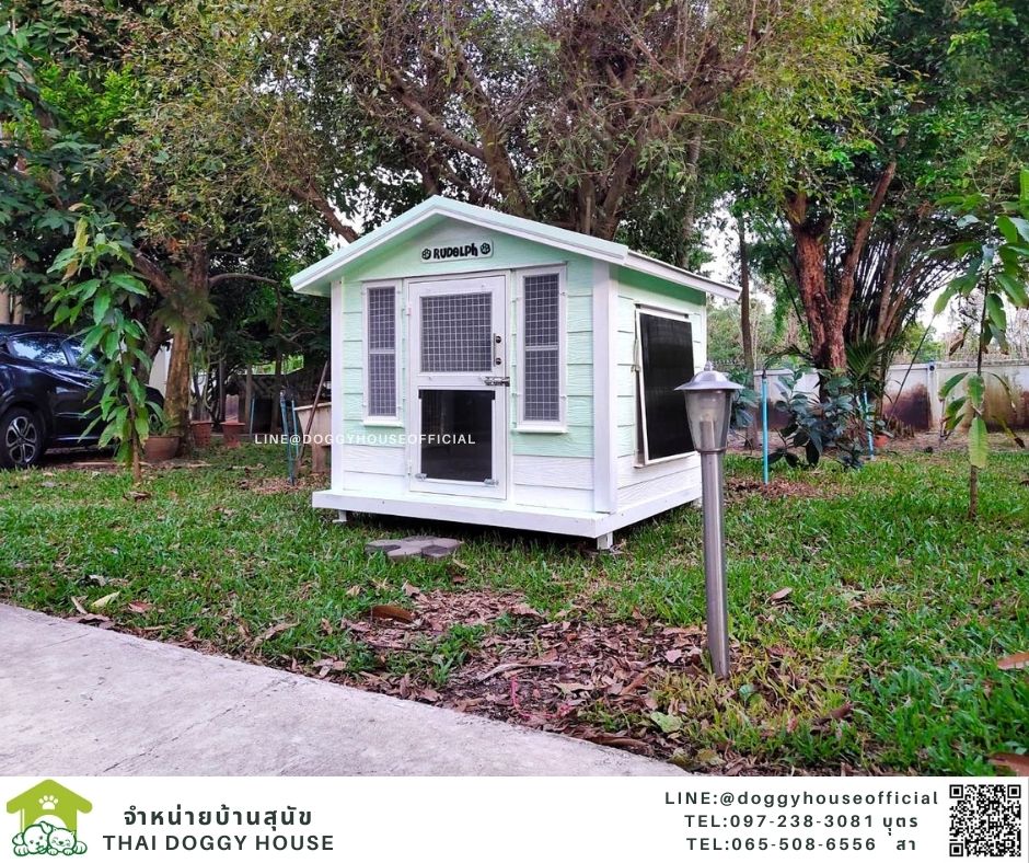 บ้านหมา ทรงจั่ว