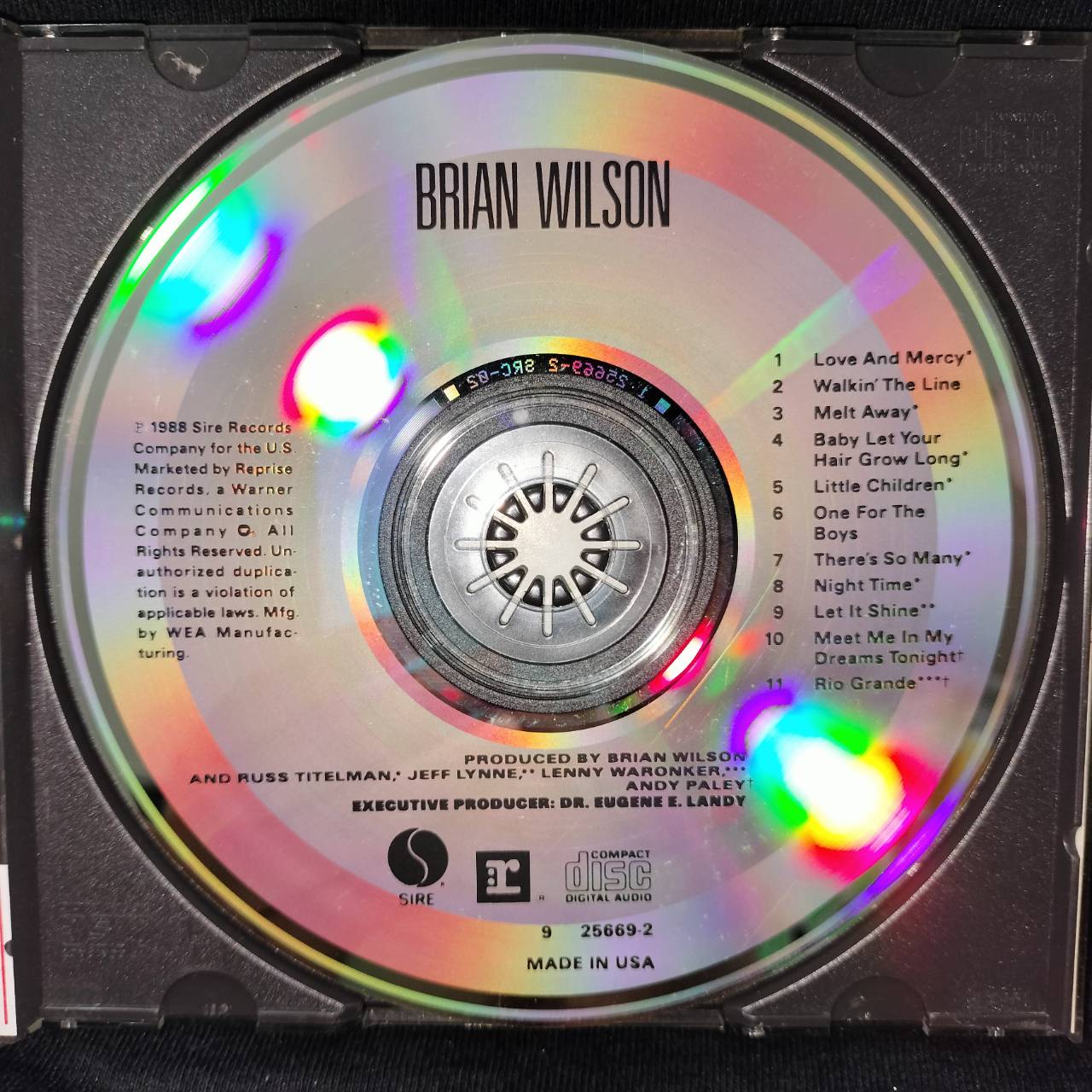 Brian Wilson – Brian Wilson / USA / แผ่นดี