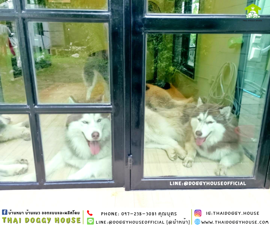 บ้านหมา รองรับการติดแอร์ แบบบ้าน 𝑵𝒐𝒓𝒅𝒊𝒄 𝒔𝒕𝒚𝒍𝒆
