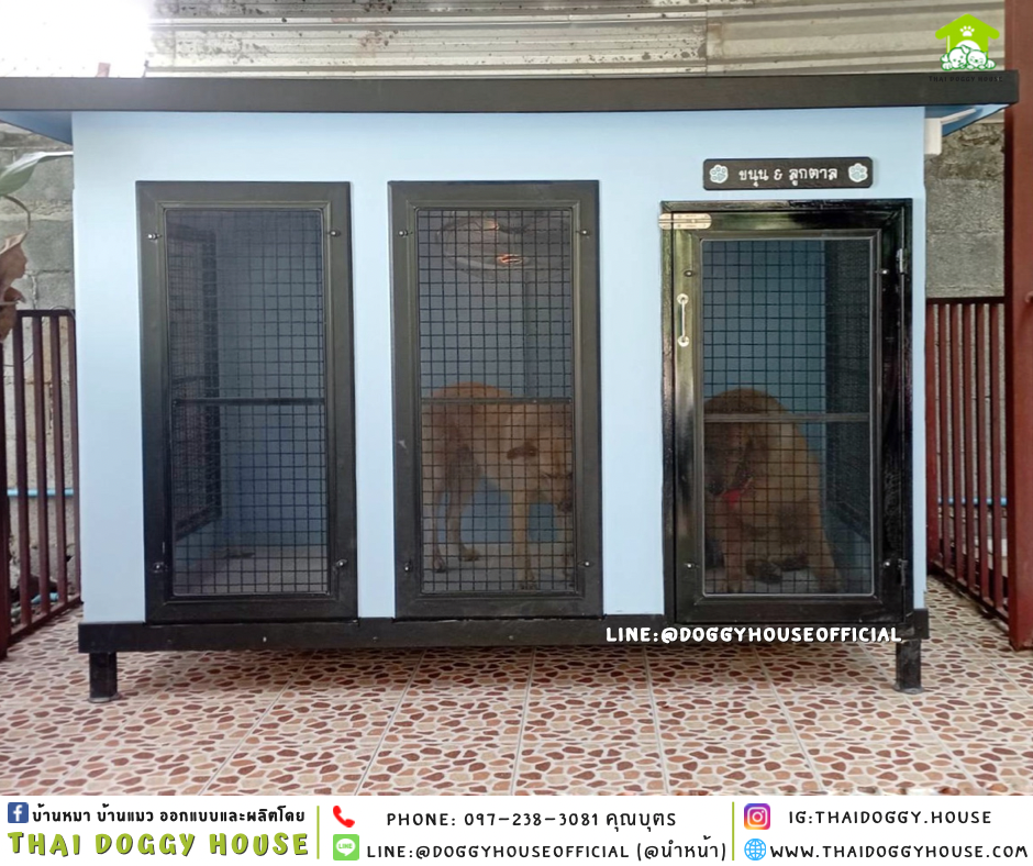 บ้านหมา แบบบ้าน 𝑩𝑶𝑿 𝑺𝑻𝒀𝑳𝑬