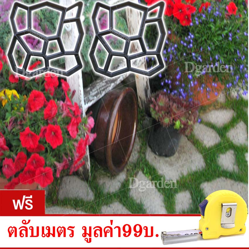 แม่พิมพ์ทางเดิน D2