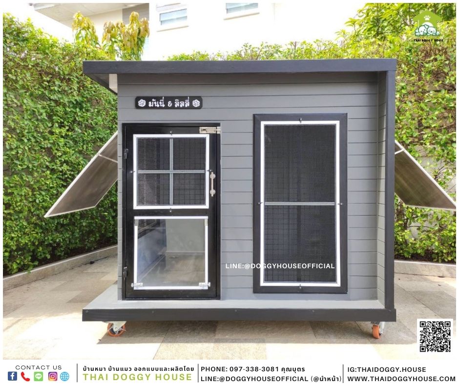 บ้านหมา Box style