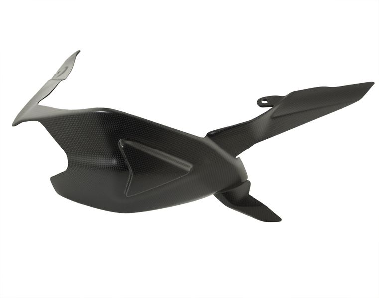 Carbon world-ครอบสวิงอาร์มคาร์บอน สำหรับ Panigale v2