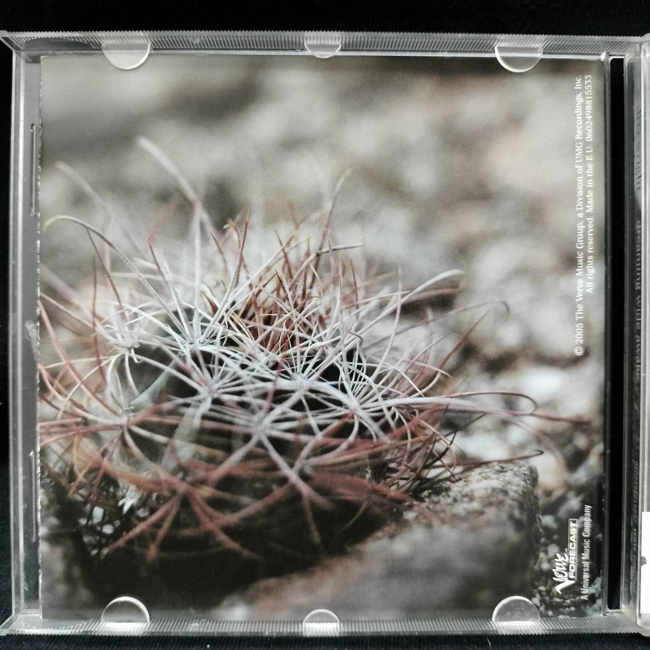 Lizz Wright – Dreaming Wide Awake / EU / แผ่นดี