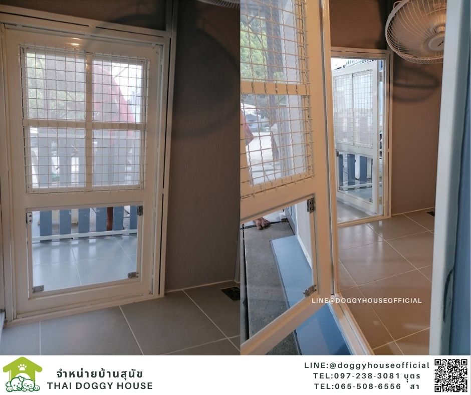 บ้านหมา