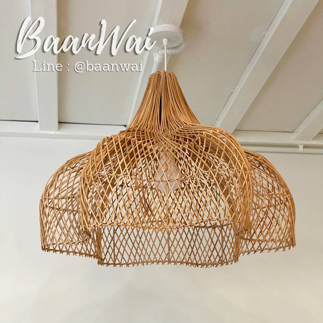 โคมไฟหวาย ดาวกระจาย