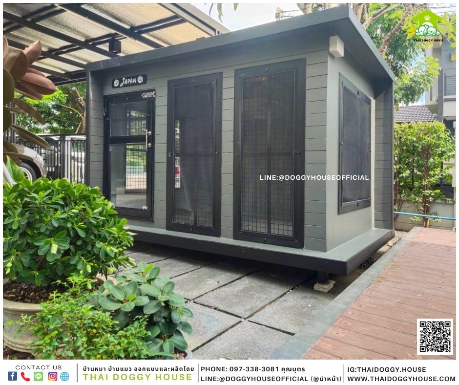 บ้านหมา Box style