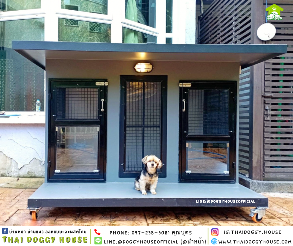 บ้านหมา แบบบ้าน ติดพัดลม 𝐁𝐎𝐗 𝐒𝐓𝐘𝐋𝐄