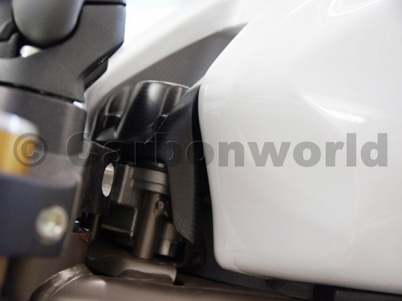 Carbon world- ครอบกุญแจคาร์บอน(Key guard carbon) สำหรับ Monster 821 2018+