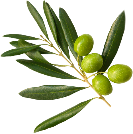 น้ำมันมะกอก La Espanola Extra Virgin Olive Oil 1 Ltr. (04-0137)