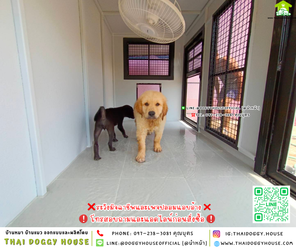 🏡บ้านหมา แบ่ง 𝟐 ห้อง & โซน 𝐨𝐮𝐭𝐝𝐨𝐨𝐫 แบบบ้าน 𝐁𝐨𝐱 𝐬𝐭𝐲𝐥𝐞 🐶