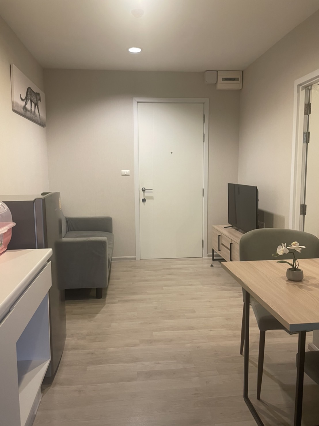 Plum condo Central station phase2