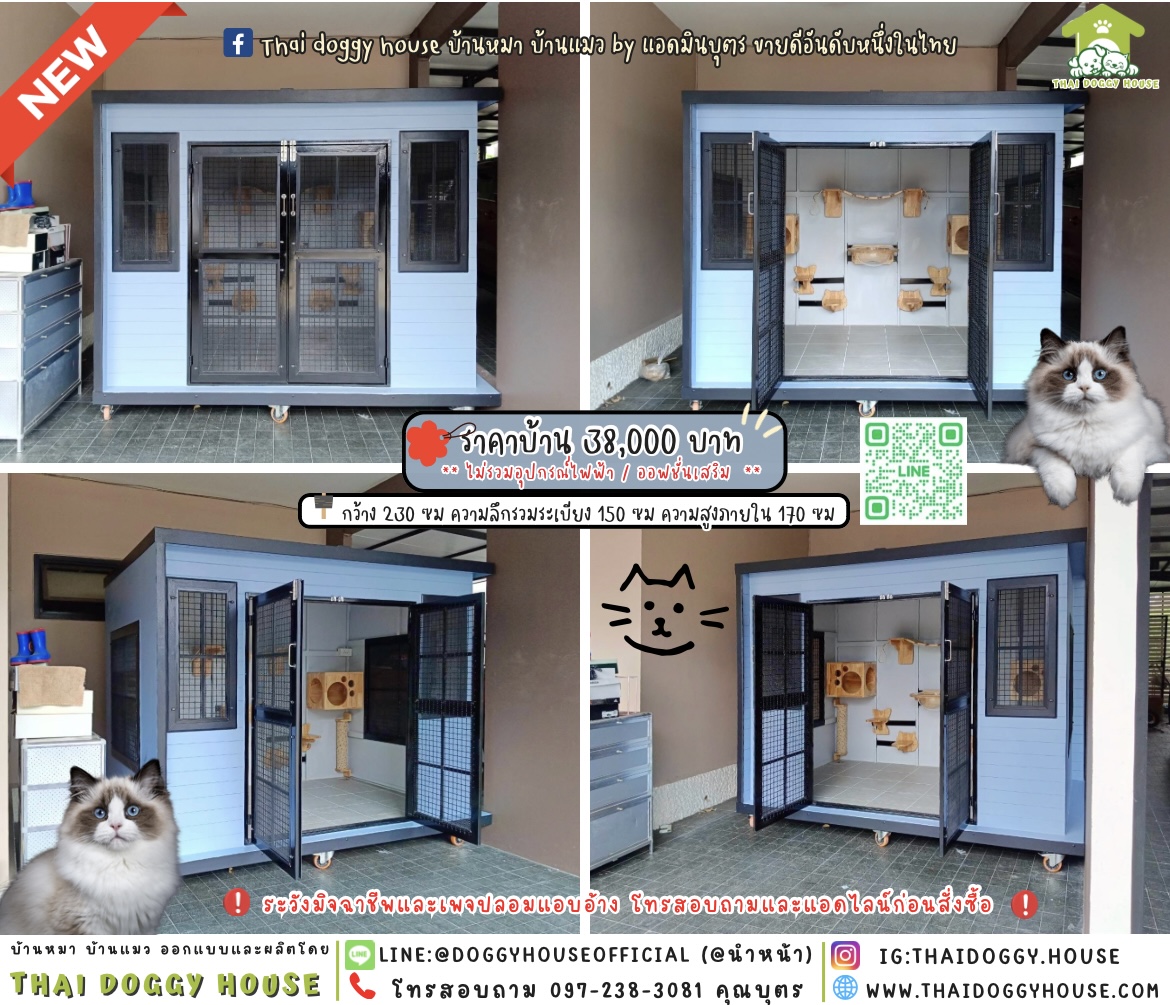 🏡บ้านแมว แบบบ้าน 𝐁𝐨𝐱 𝐒𝐭𝐲𝐥𝐞 🐈🐾