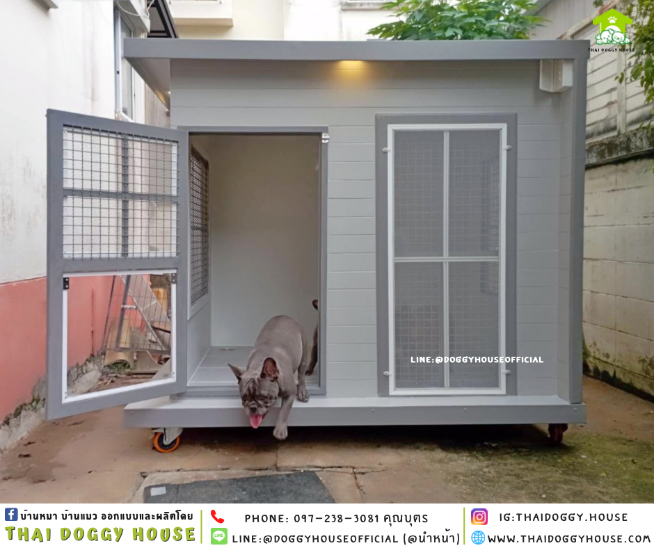 บ้านหมา ติดพัดลม แบบบ้าน 𝐁𝐎𝐗 𝐒𝐓𝐘𝐋𝐄