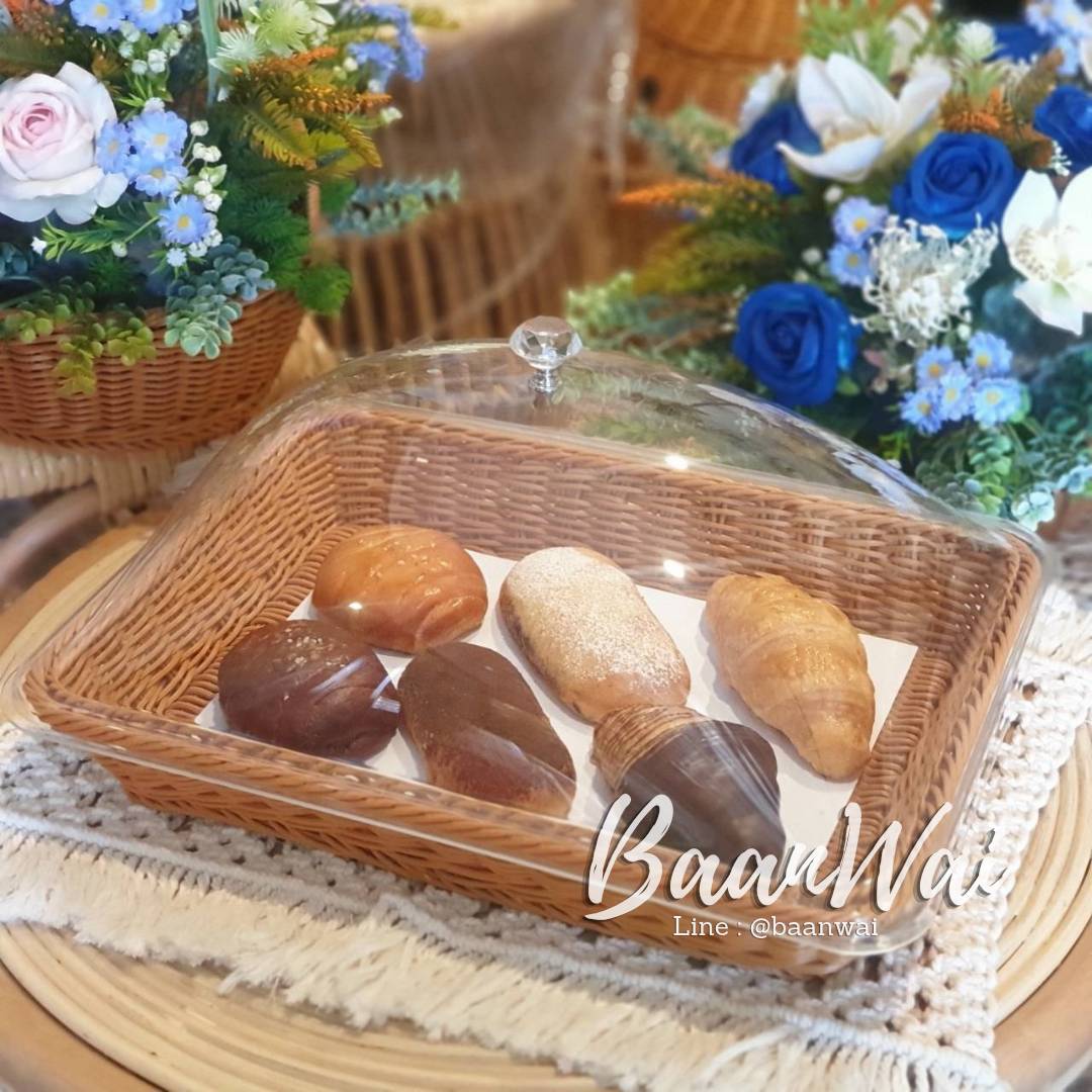 ถาดหวายเทียม ฝาครอบใส