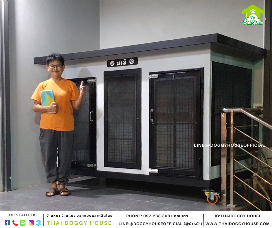 บ้านแมว 2ประตู แบบบ้าน BOX STYLE