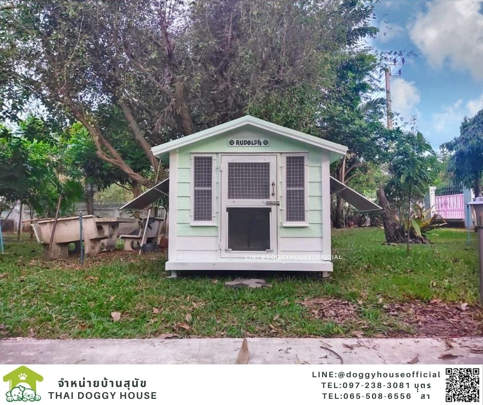 บ้านหมา ทรงจั่ว