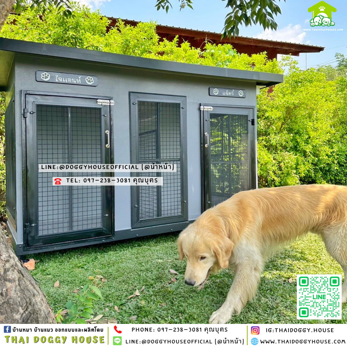 🏡บ้านหมา แบ่ง 𝟐 ห้อง แบบบ้าน 𝐁𝐨𝐱 𝐬𝐭𝐲𝐥𝐞 ✨