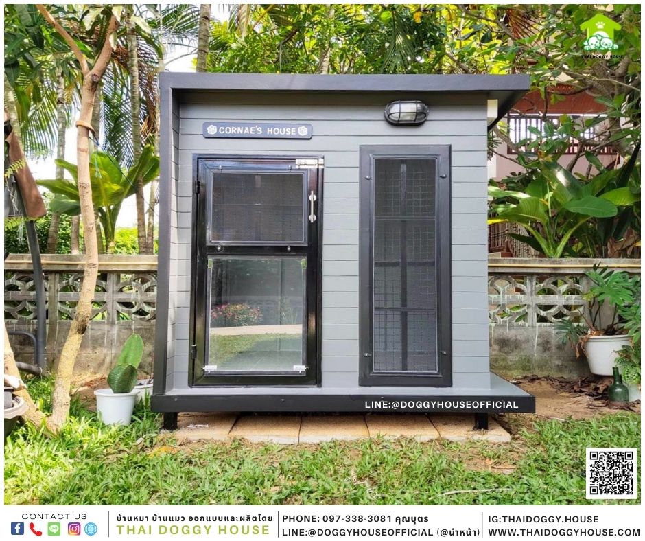 บ้านหมา Box style