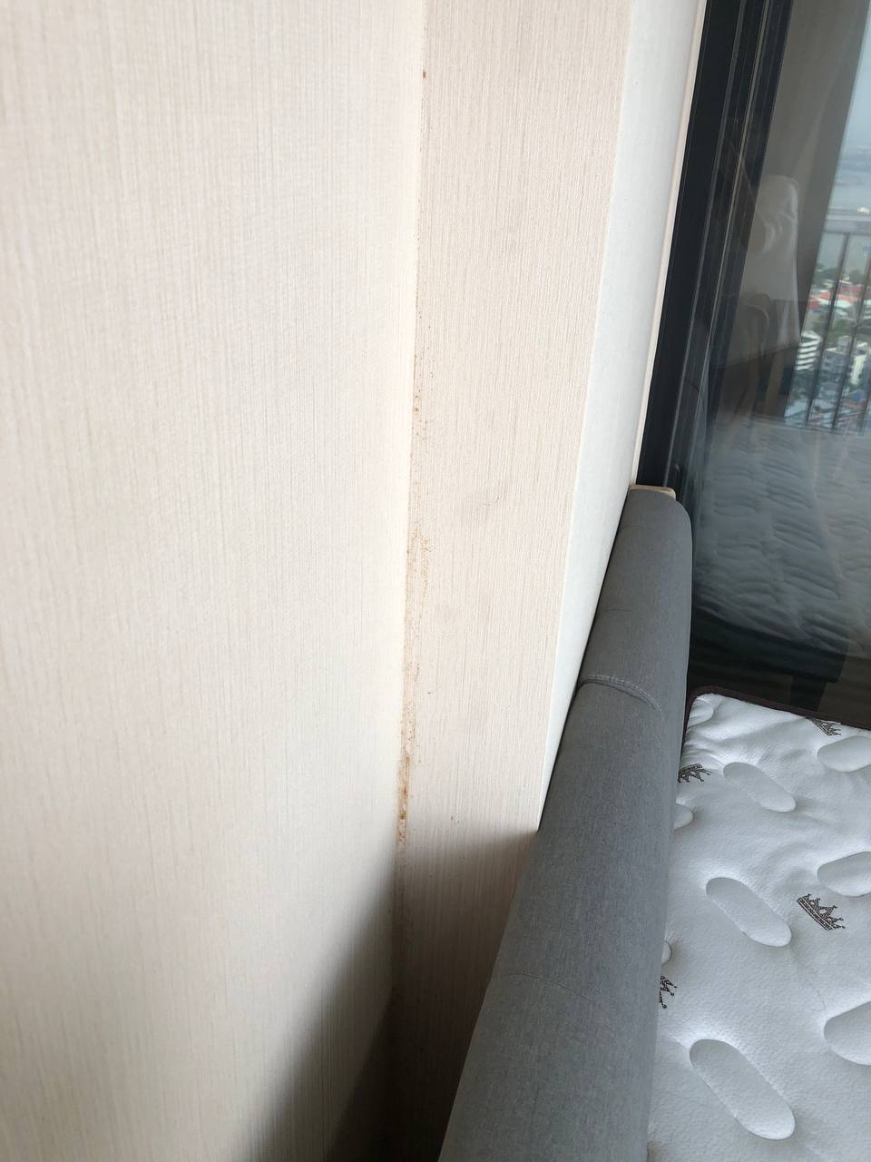 The Tree Interchange