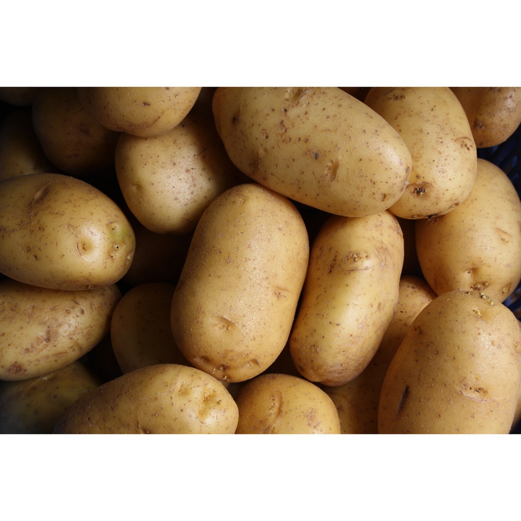 Potato Starch แป้งมันฮ่องกง ตราใบหยก Bai Yok Potato Starch 500 g. (01-5613)