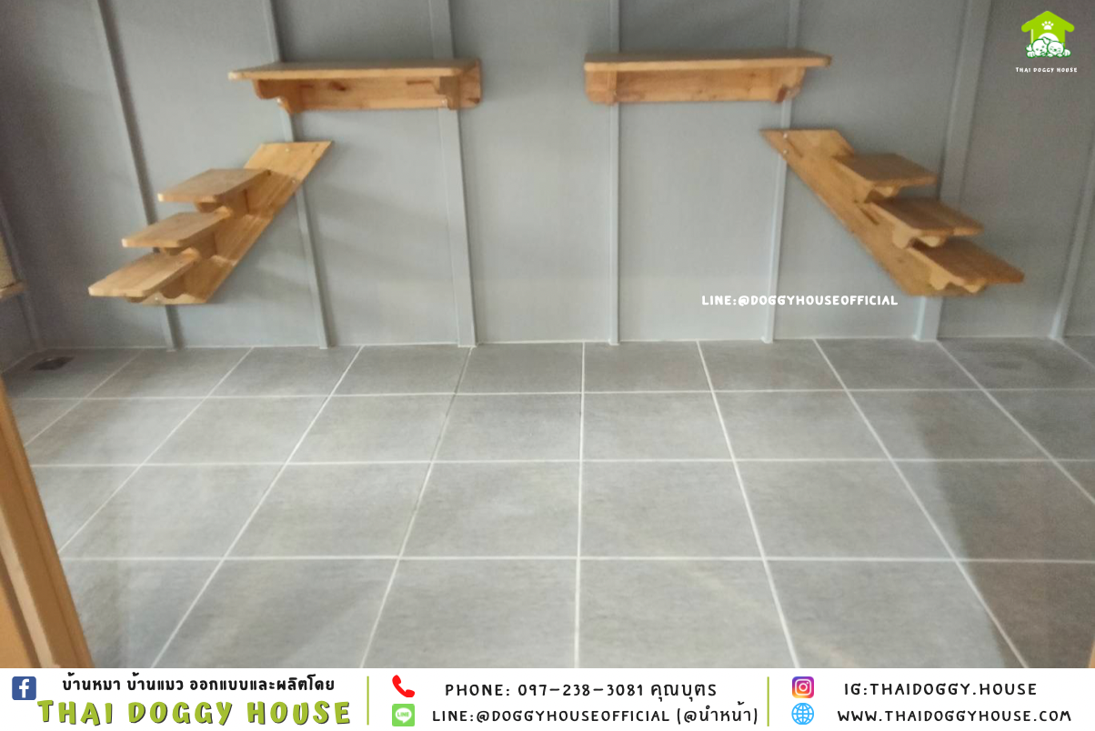 บ้านแมว แบบบ้าน 𝐁𝐎𝐗 𝐒𝐓𝐘𝐋𝐄