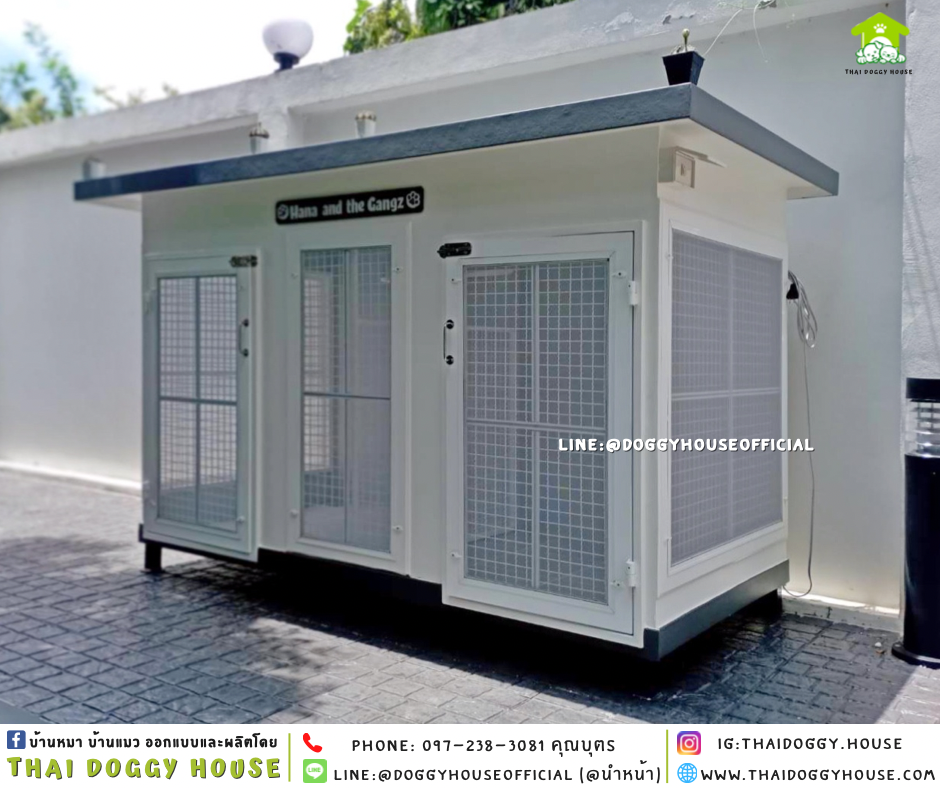 บ้านหมา แบ่ง 𝟐 ห้อง แบบบ้าน 𝐁𝐎𝐗 𝐒𝐓𝐘𝐋𝐄