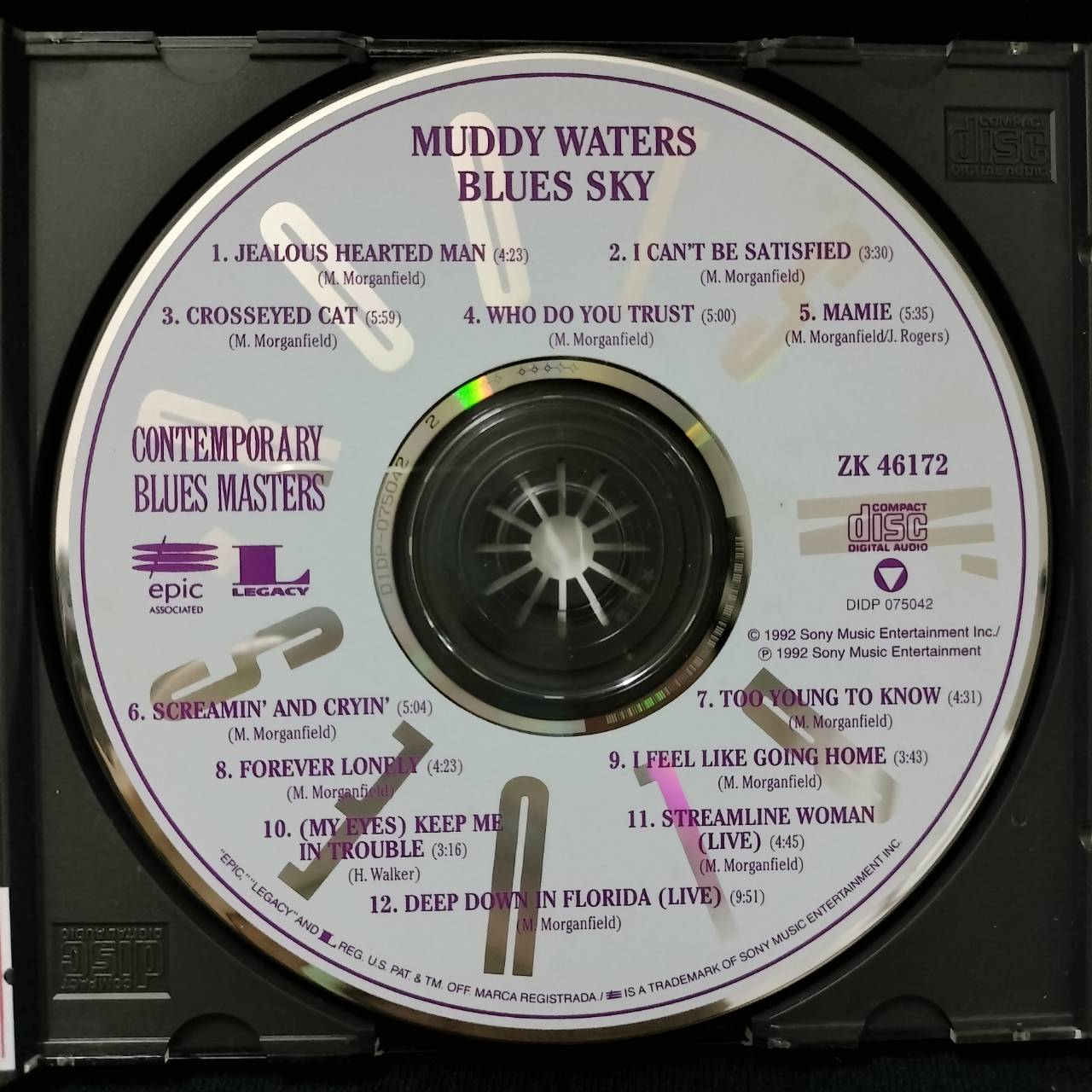 Muddy Waters – Blues Sky / USA / ปกเจาะ / ปกในมีจุดเหลือง / แผ่นดี