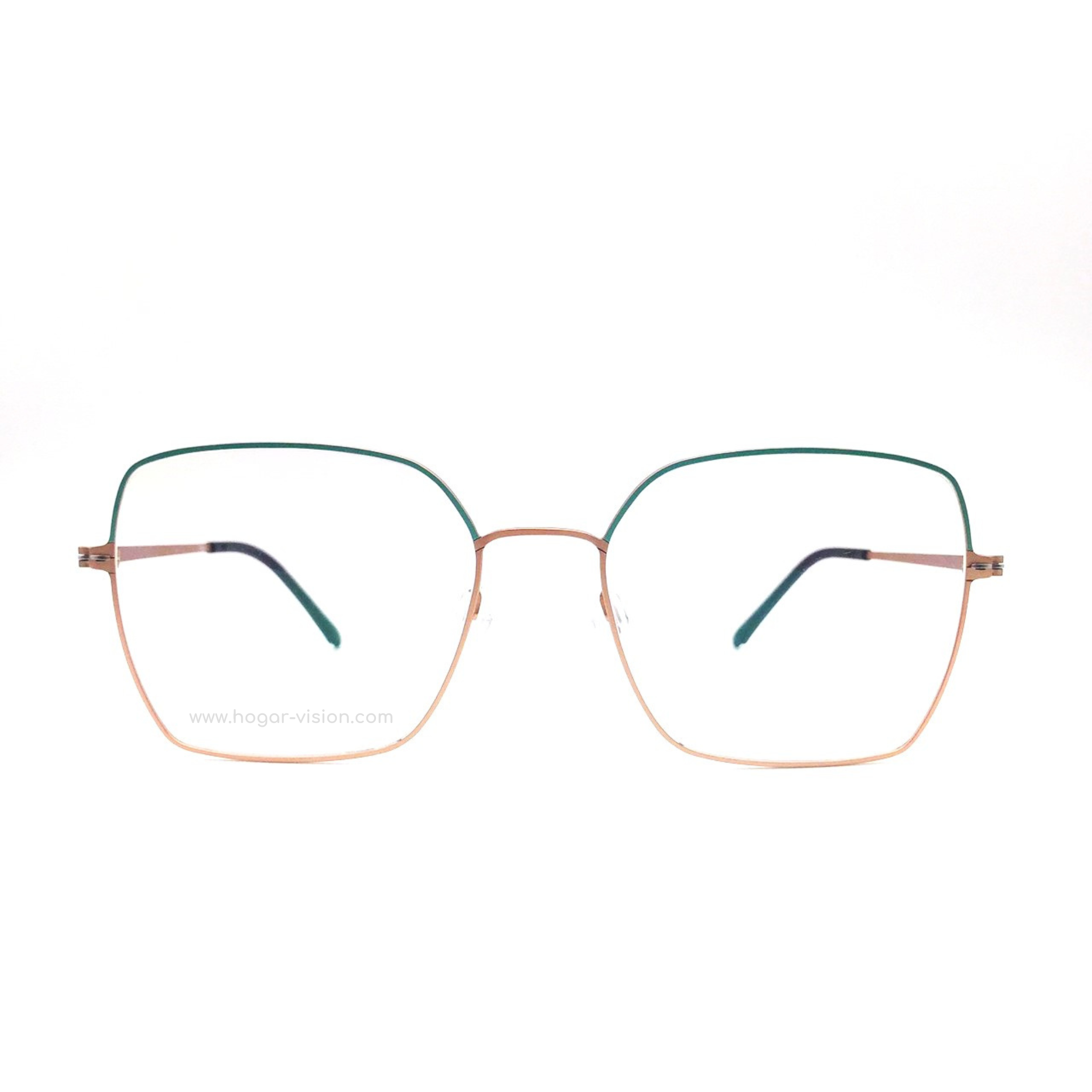 กรอบแว่น P+US รุ่น NB29 สี 5P