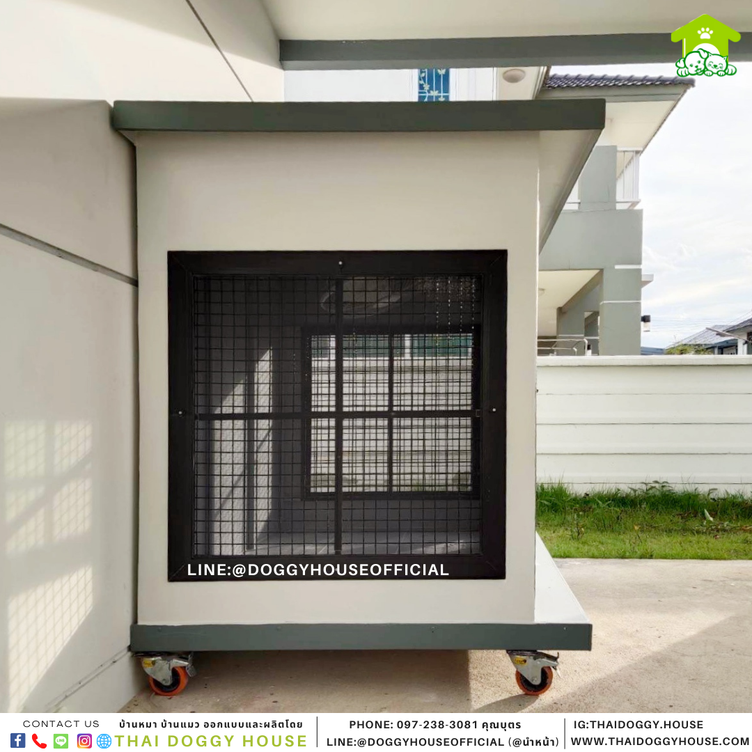 บ้านหมา แบบบ้าน Box style