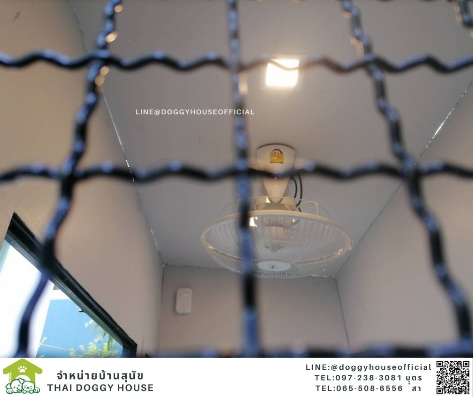 บ้านหมา