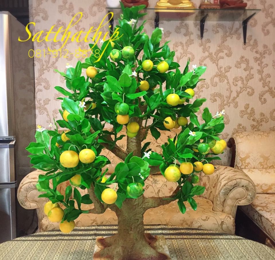 ต้นส้ม - ต้นส้ม ประดิษฐ์จากดิน - Orange tree