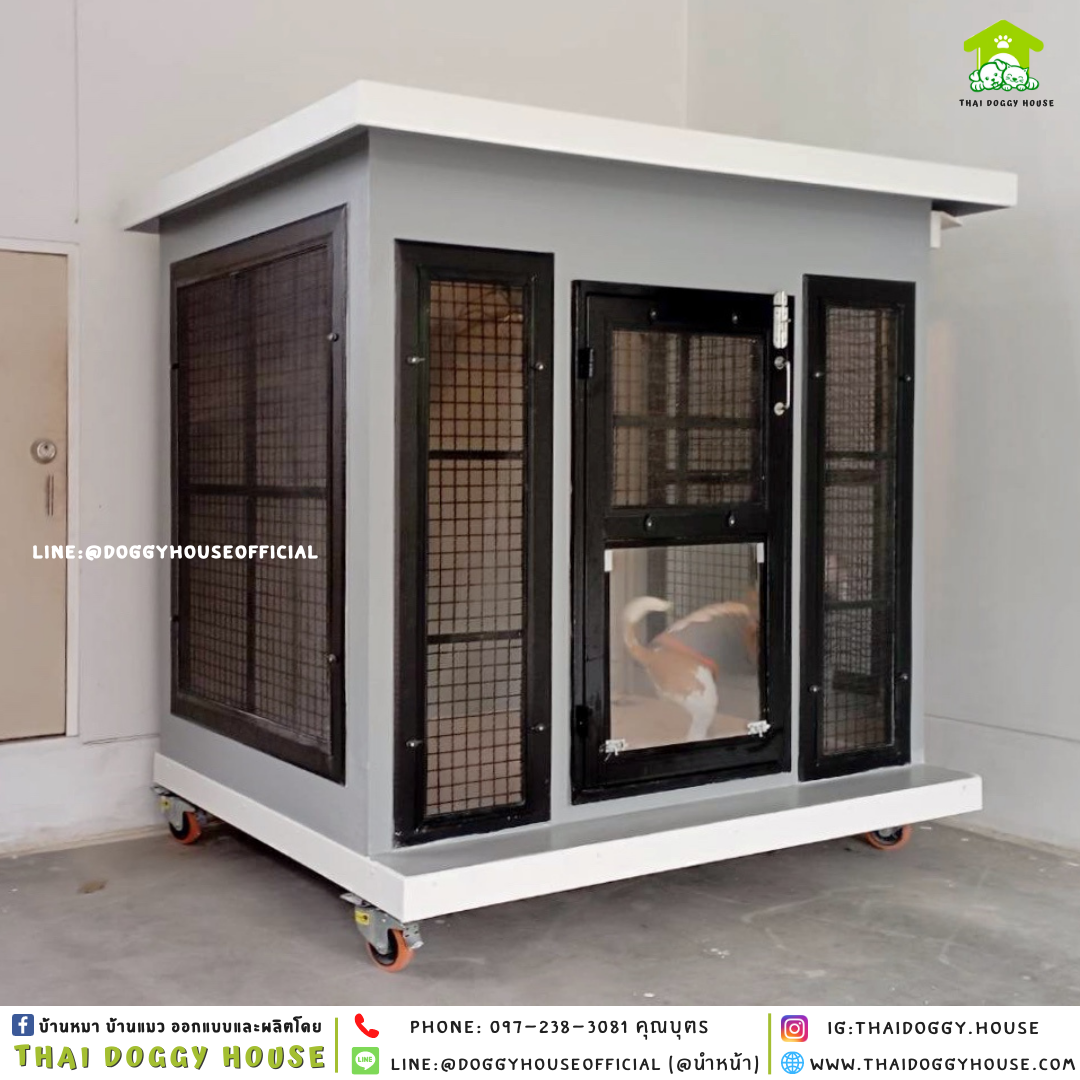 บ้านหมา แบบบ้าน 𝑩𝑶𝑿 𝑺𝑻𝒀𝑳𝑬