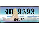 ทะเบียนรถ 9393 - ทะเบียนมงคล - งต 9393 - เลขที่ใช่สำหรับรถคุณ ของพร้อมส่งมอบ
