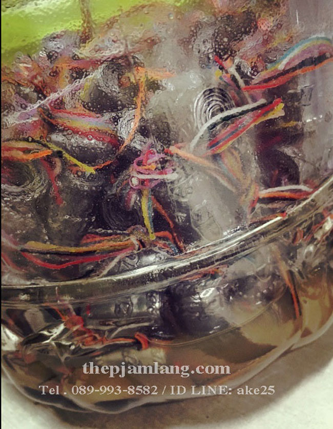 ตะกรุดมหาปราบ ตรึงไตรภพ พ่อท่านแผ้ว สำนักปฏิบัติธรรมบ้านไสหลวง พัทลุง ปี 2559