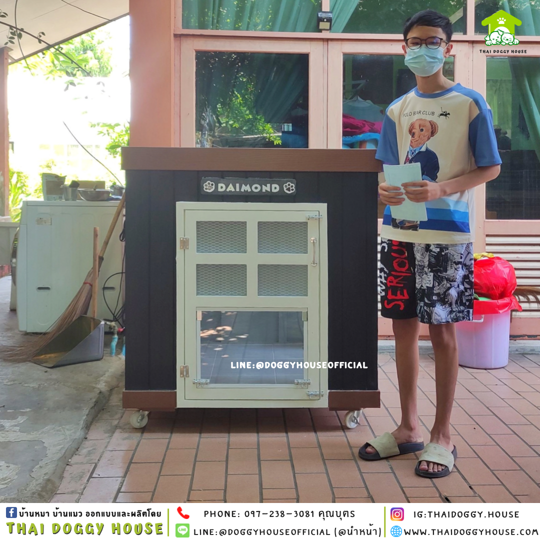 บ้านหมา แบบบ้าน 𝐁𝐎𝐗 𝐒𝐓𝐘𝐋𝐄