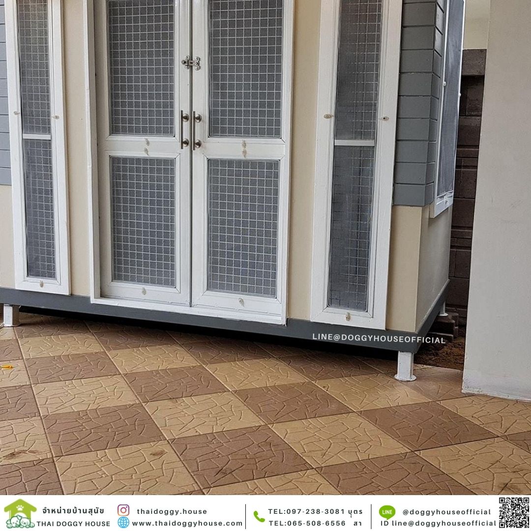 บ้านหมา