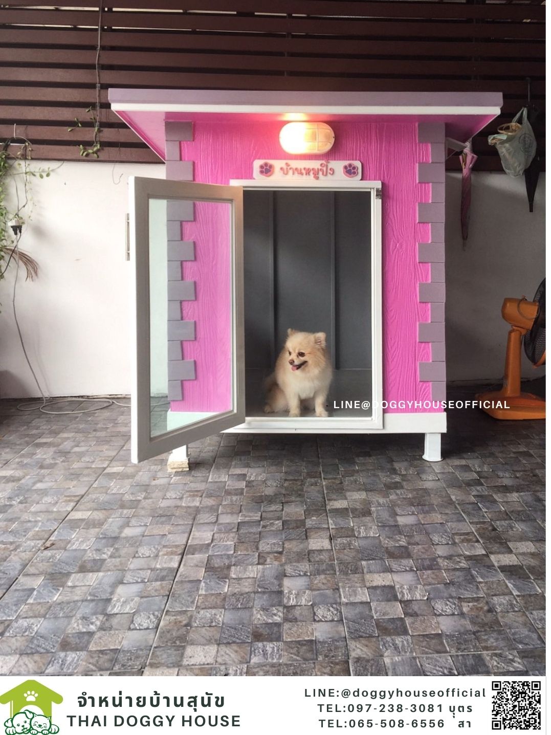 บ้านหมา